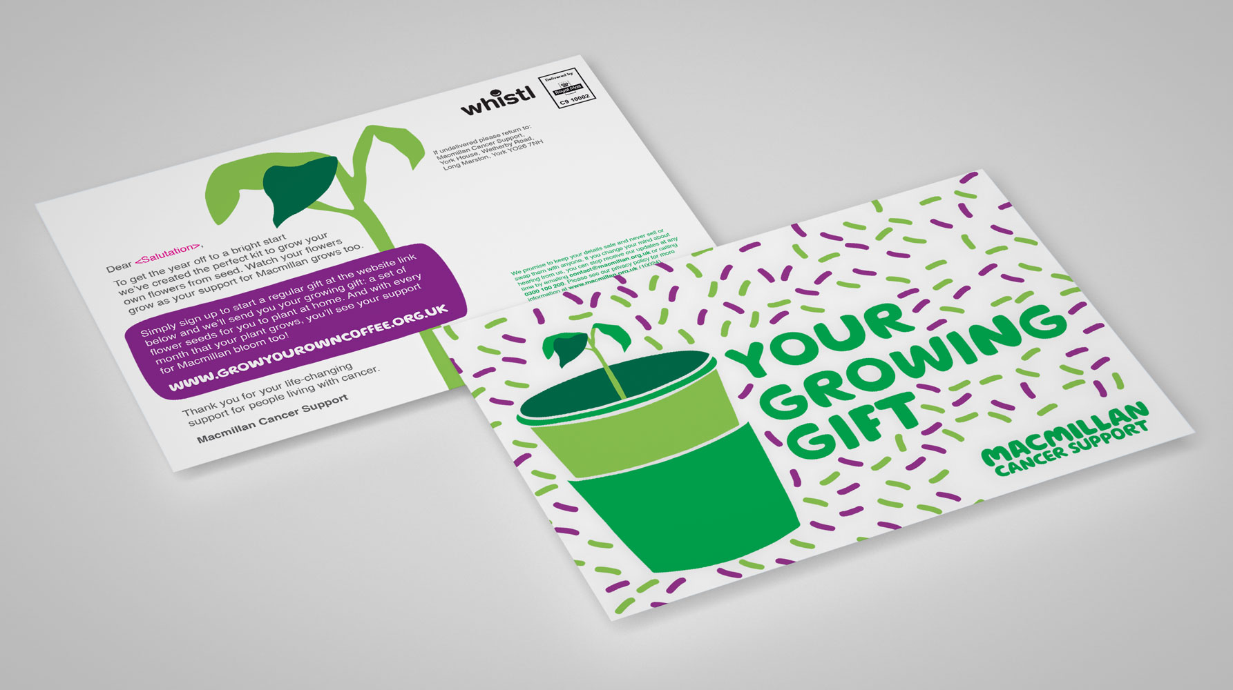 ave design studio london graphic design and website design and development for charities and not-for-profit organisations Macmillan Grow Your Own