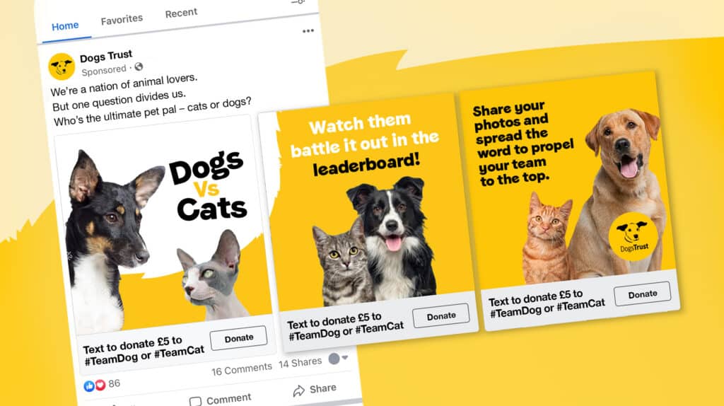 Series of bold yellow Facebook ads for Dogs Trust’s “Dogs vs Cats” donation campaign, encouraging users to pick a side and support with £5 text donations.
