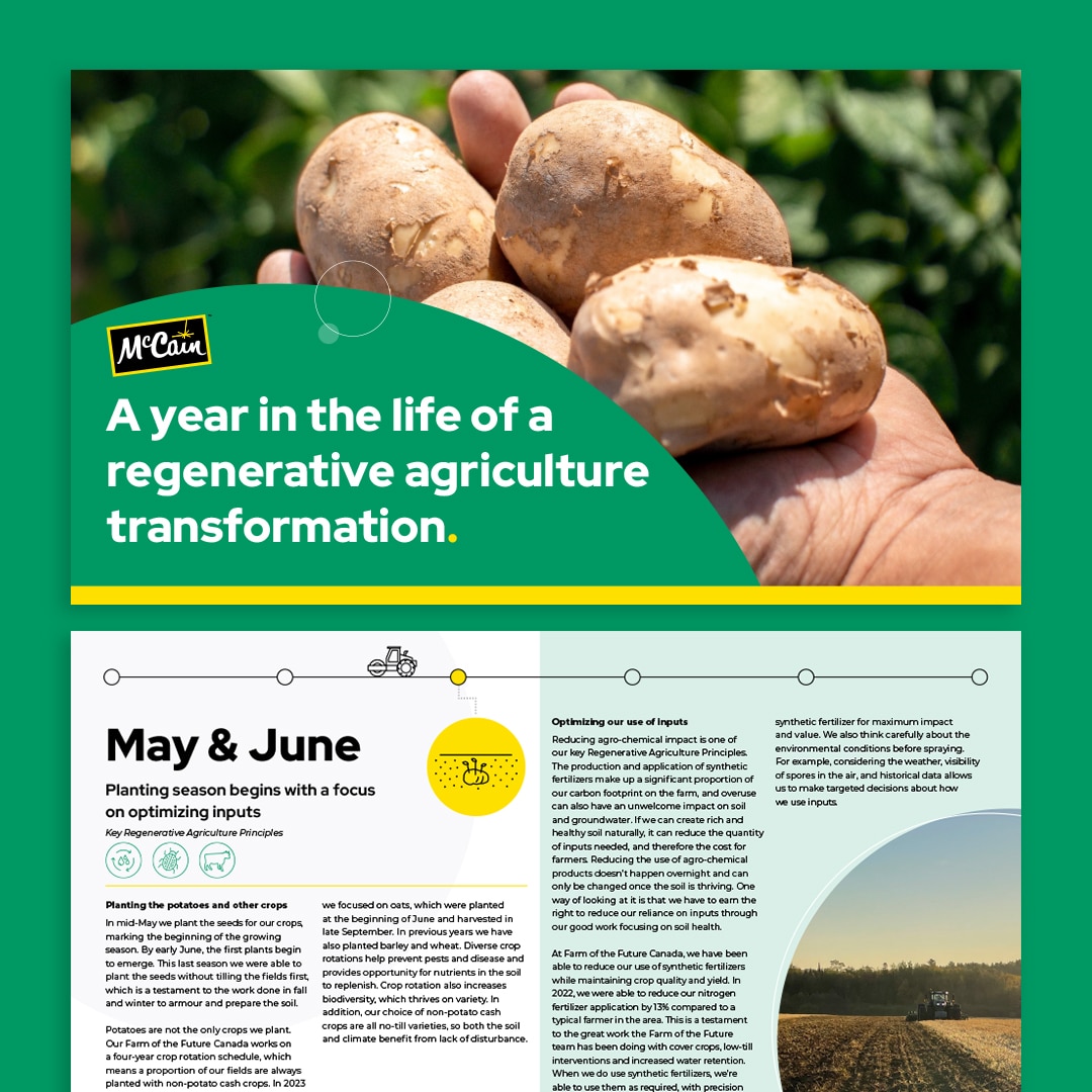 Collage of pages from McCain’s 2023 Sustainability Report, featuring colourful infographics, photography of crops and communities, and themed sections on Good Food, Ethics, and Security.