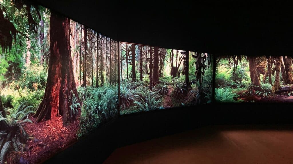 Large-scale immersive video installation showing a lush, green forest landscape on wraparound screens in a darkened room.