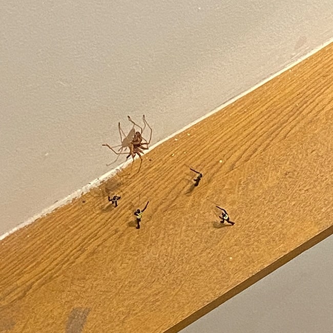 Tiny figurines confronting a real-life spider on a wooden ledge.