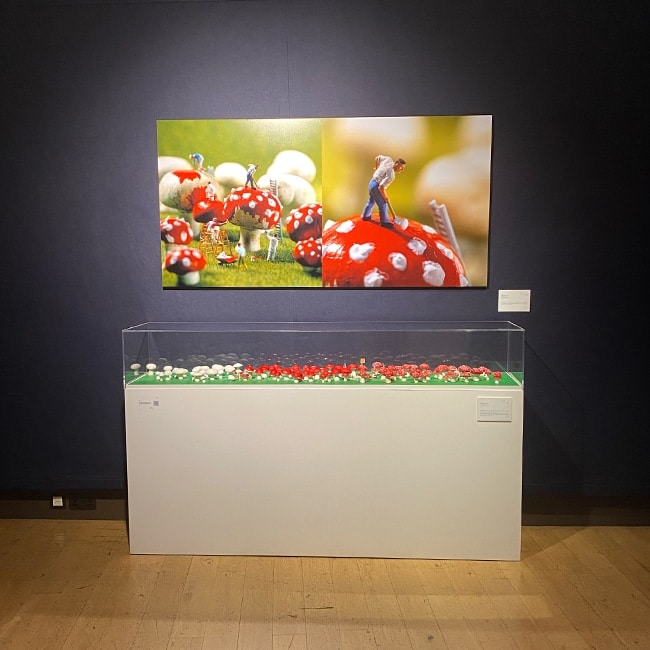 Mushroom-themed miniature scene with figurines on red and white spotted toadstools.